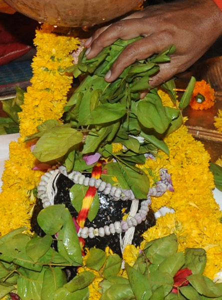 Pashupatinath(Mandsaur) - Vishesh Bilwarchan