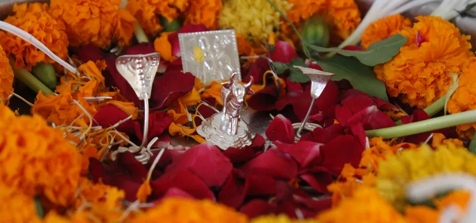 Mount Abu - Kaal Sarpa Dosh Puja