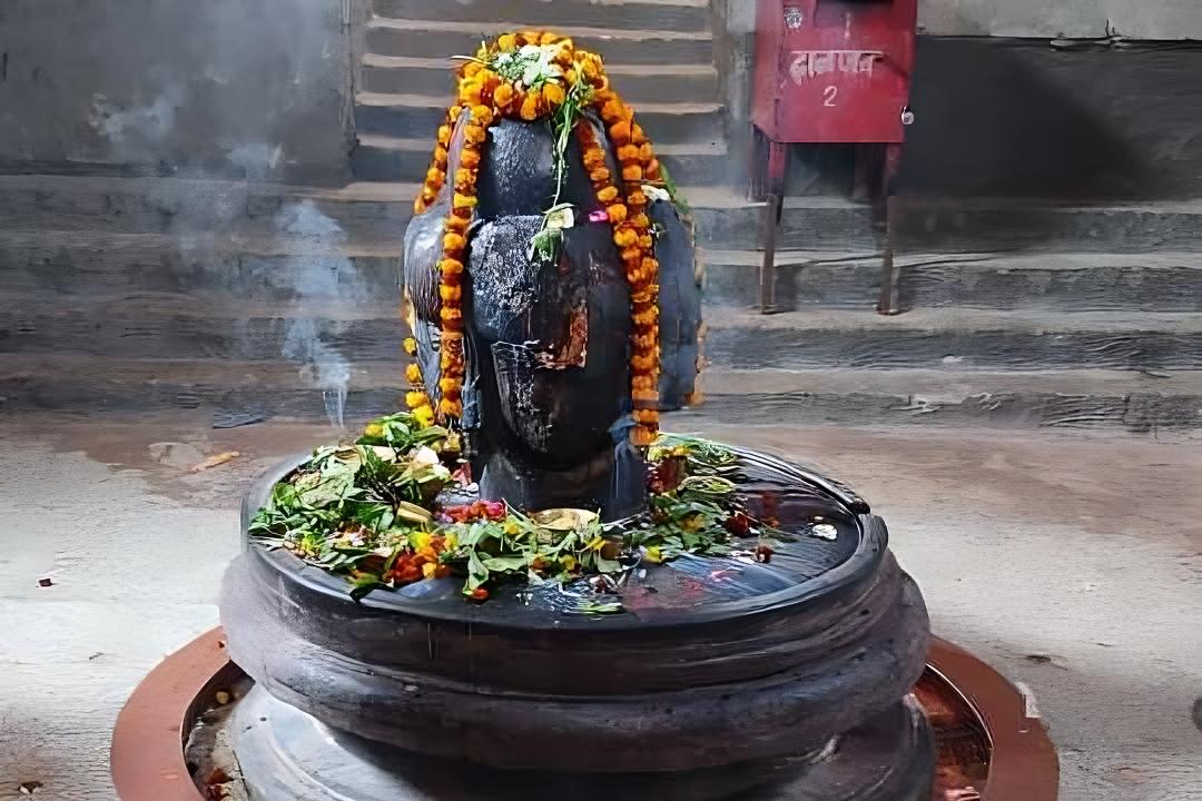 Rajkot - Mahadev Panchamukhi Puja