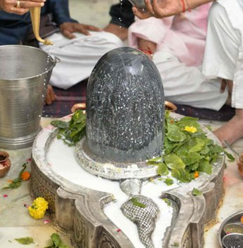 Udaipur - Rudrabhishek Puja