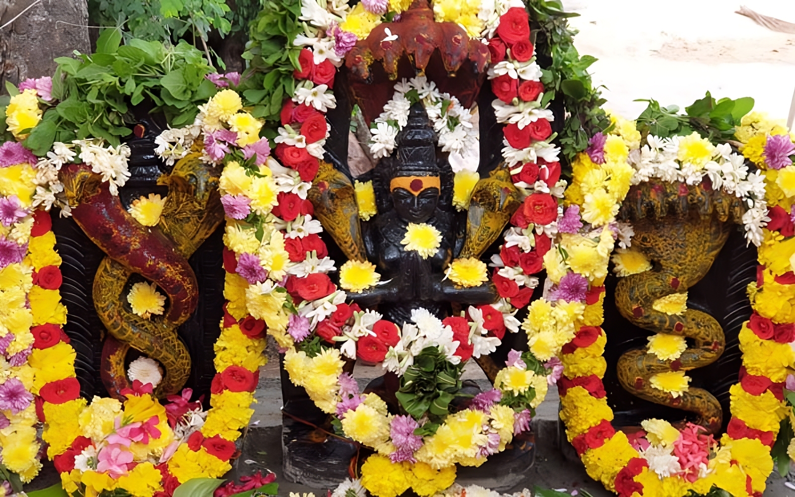 Kukke Shri Subrahmanya - Ashlesha Bali Puja