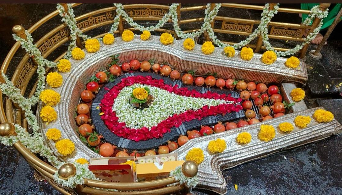 Bhimashankar - Panchamrit Rudrabhishek puja