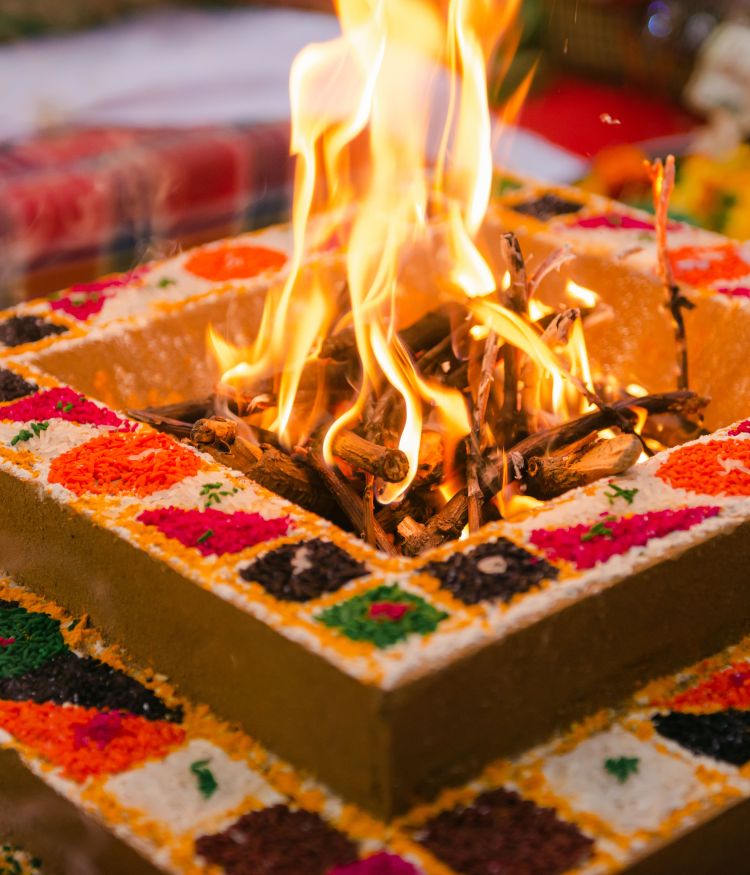 Saraswati Pushkaralu Kaleshwaram - Matsya Homam