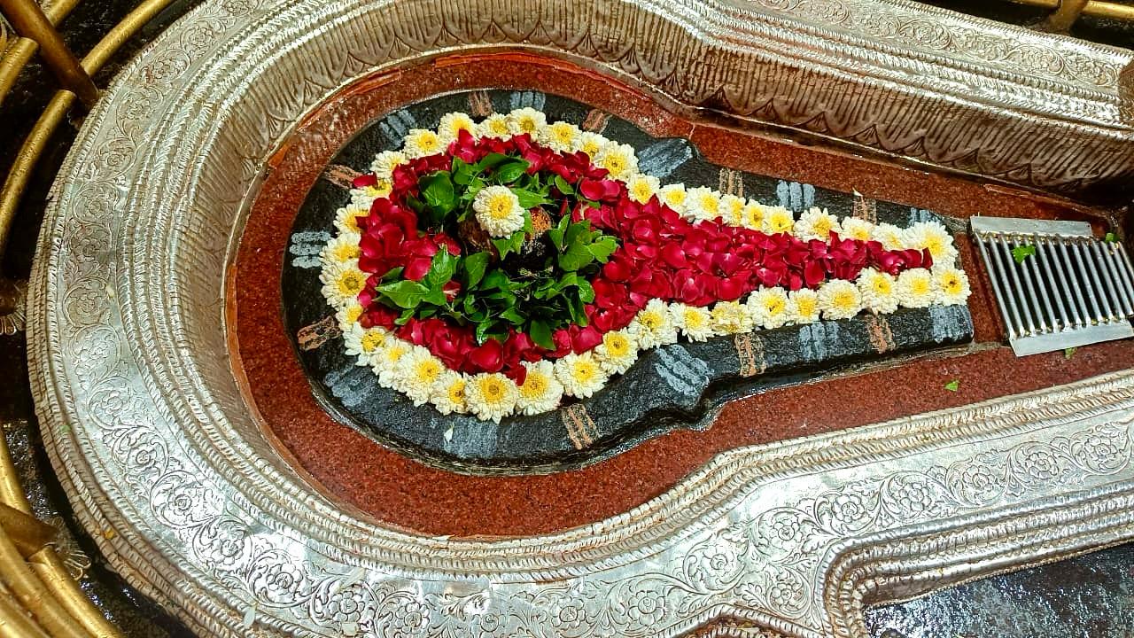 Bhimashankar - Laghu Rudrabhishek