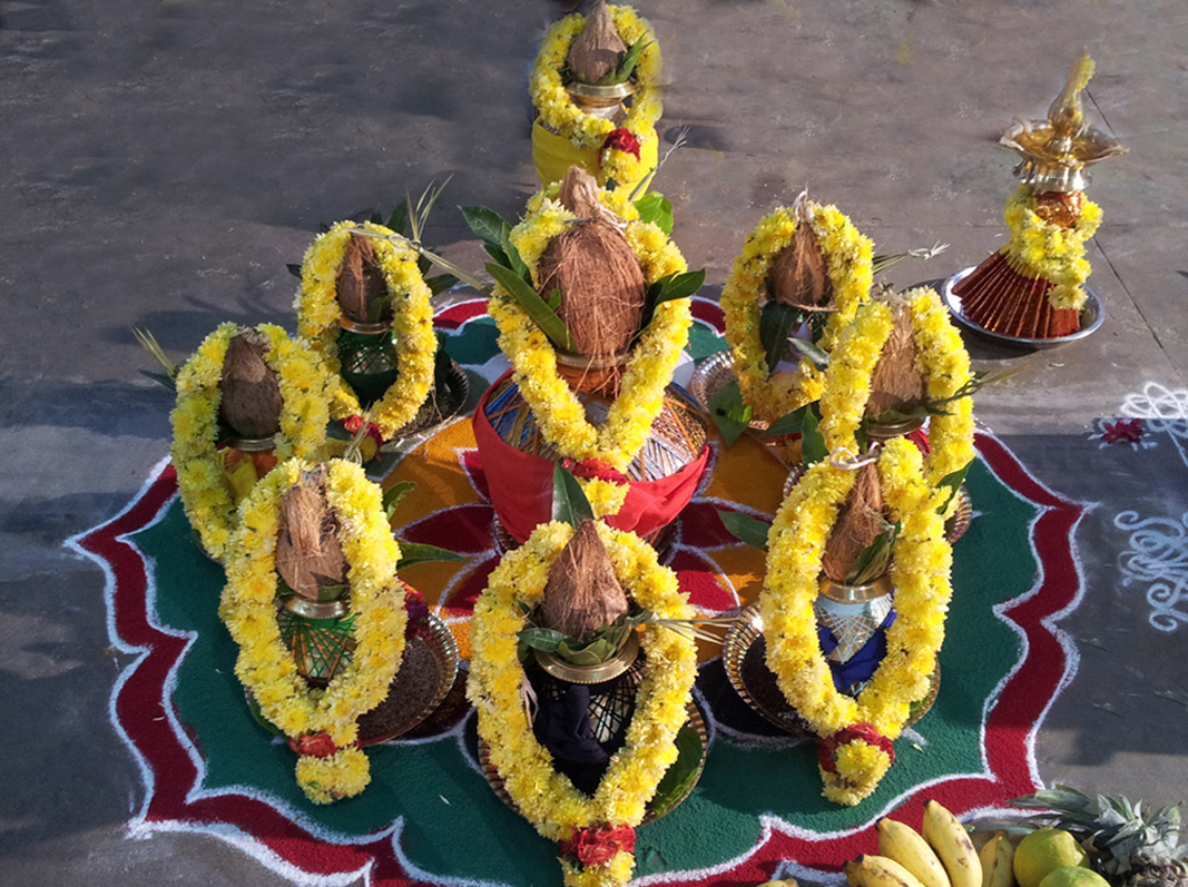 Saraswati Pushkaralu Kaleshwaram - Navgrah Homam