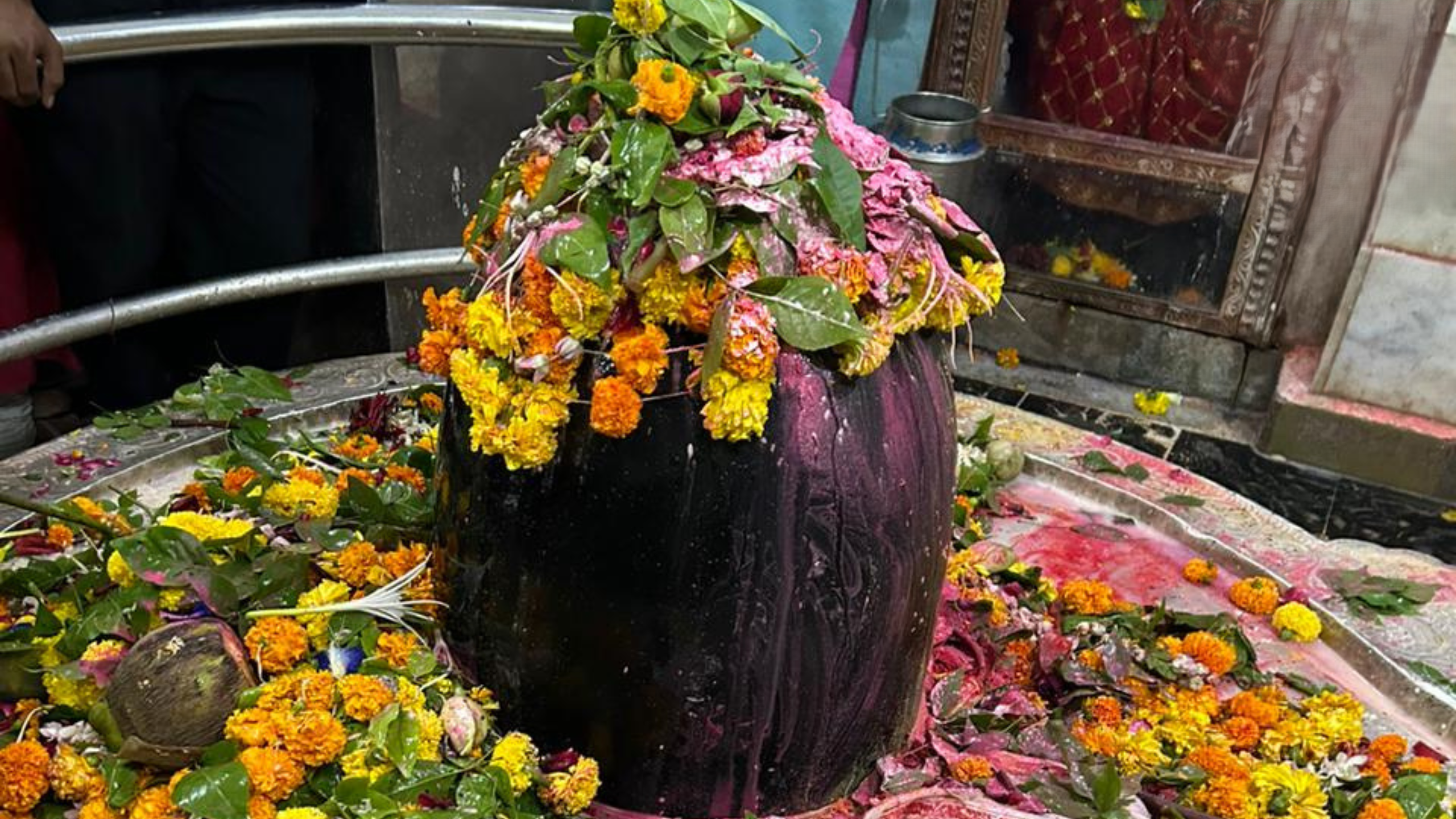 Laghu Rudrabhishek - Somnath