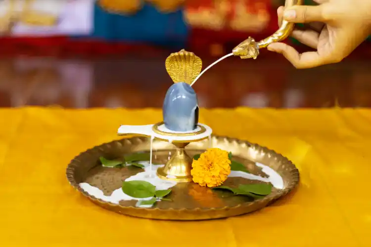 Rudrabhishek Puja