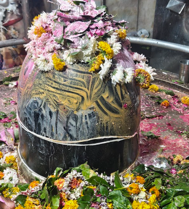 Rudra Puja in Old Somnath Temple