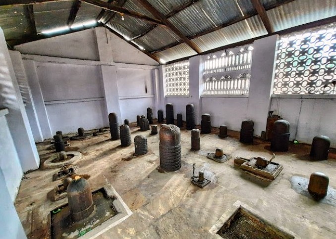 108 Shivling Abhishek Puja in Biraja Temple