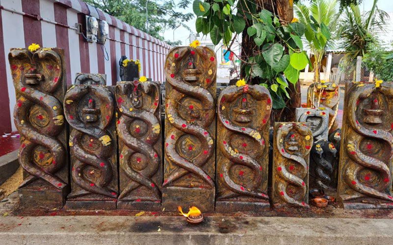 Kukke Shri Subramanya - Nagaprathiste Puja