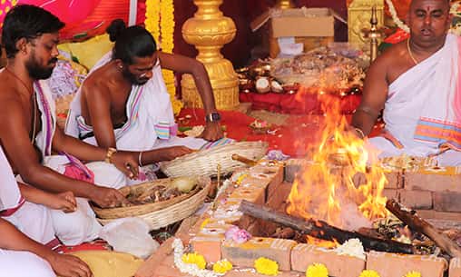 Saraswati Pushkaralu Kaleshwaram - Sri Hayagriva Homam