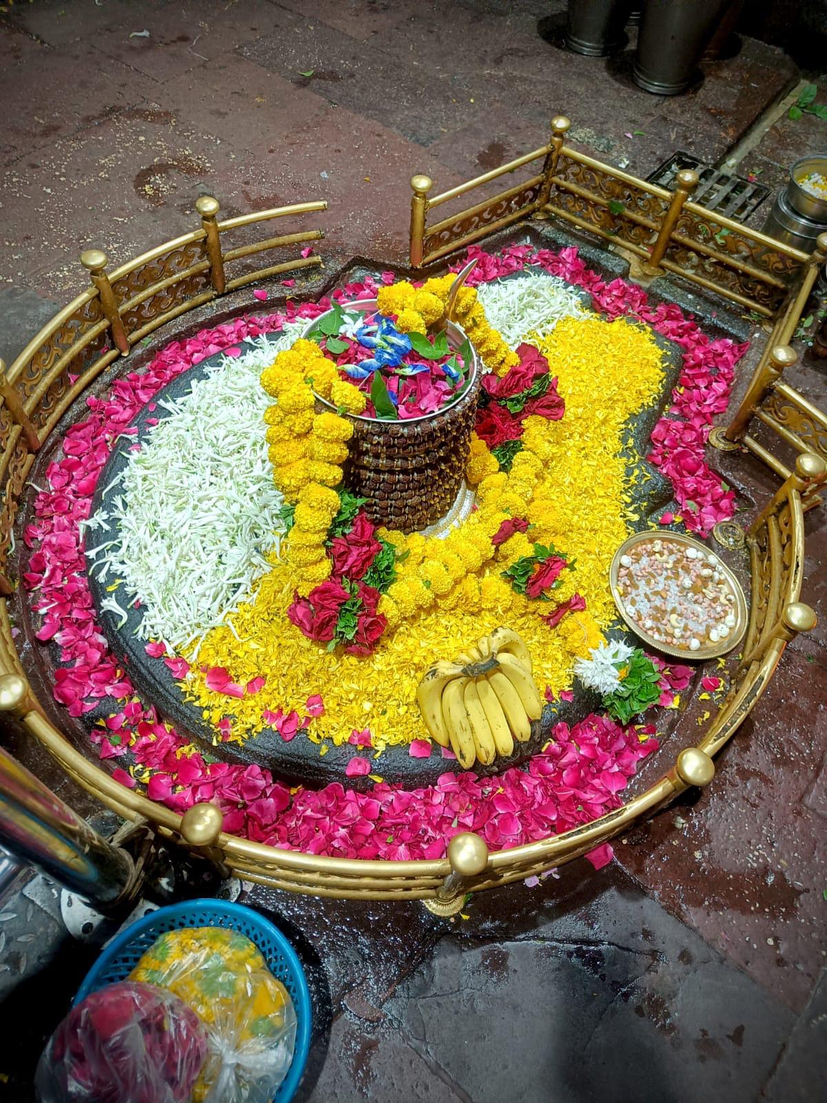 Puja Image