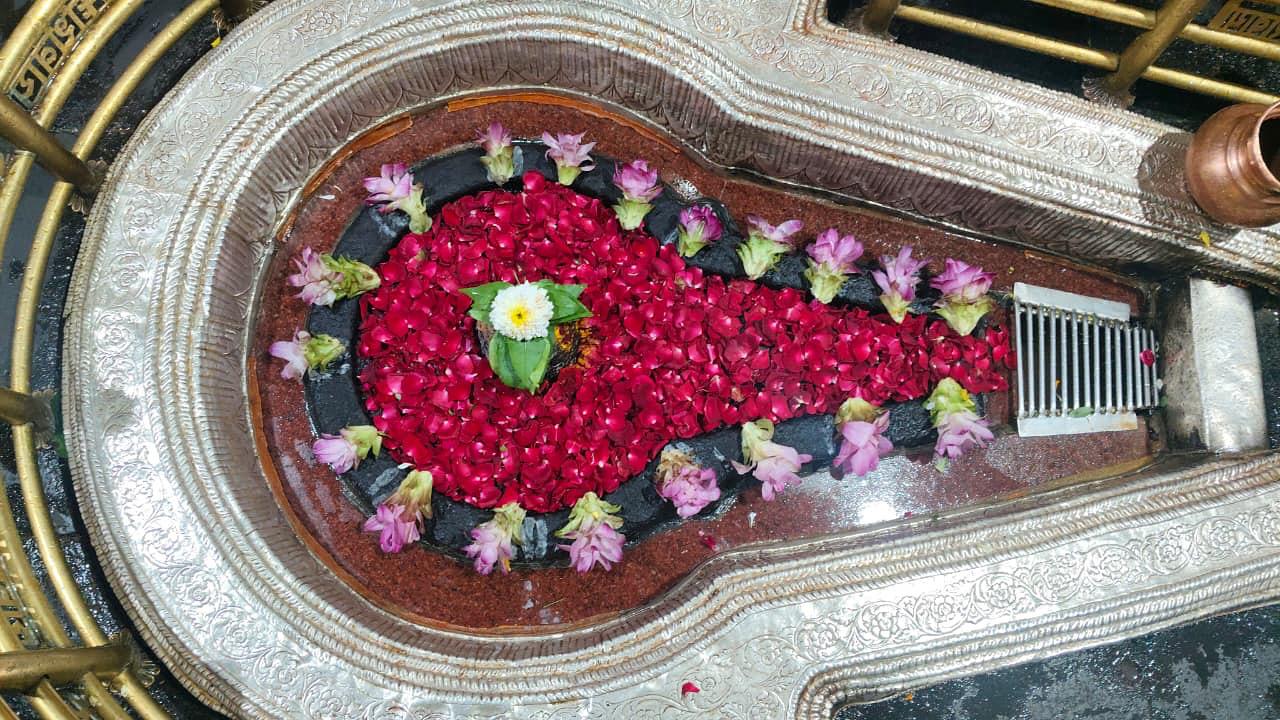 Bhimashankar Rudrabhishek Puja