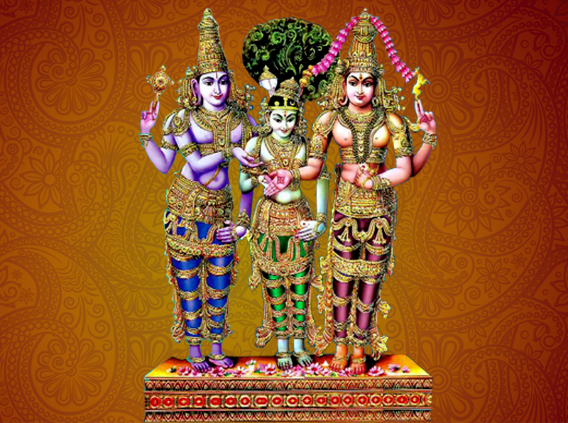 Saraswati Pushkaralu Kaleshwaram - Swayamvara Parvati Homam