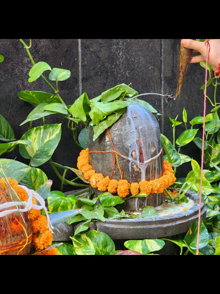 Rudrabhishek Puja in Ganagapur