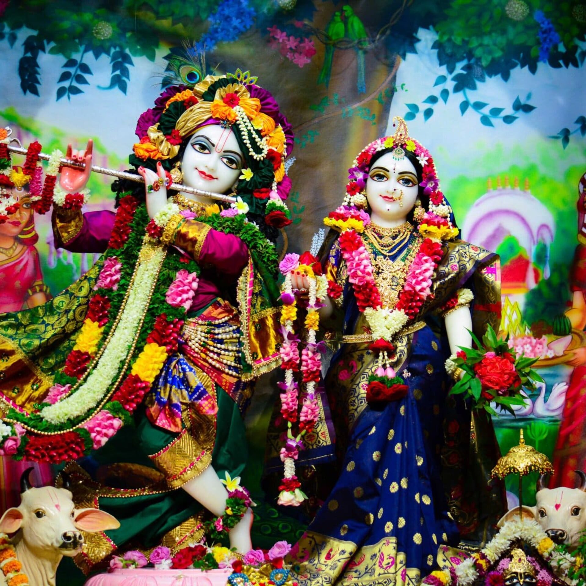 Special Krishna Ashtami Puja - ISKCON Nellore