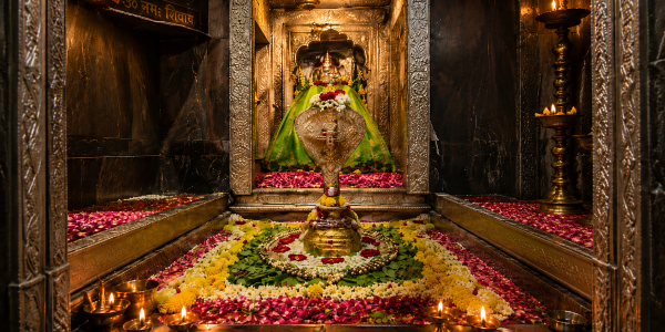Darshan Yatra & Jal Abhishek Puja In Omkareshwar