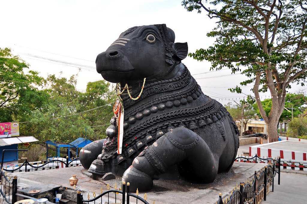 Bull Temple Banglore