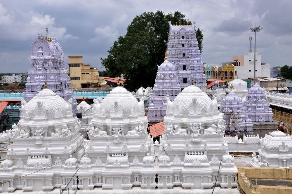 Sri Raja Rajeshwara Swamy Temple Vemulawada