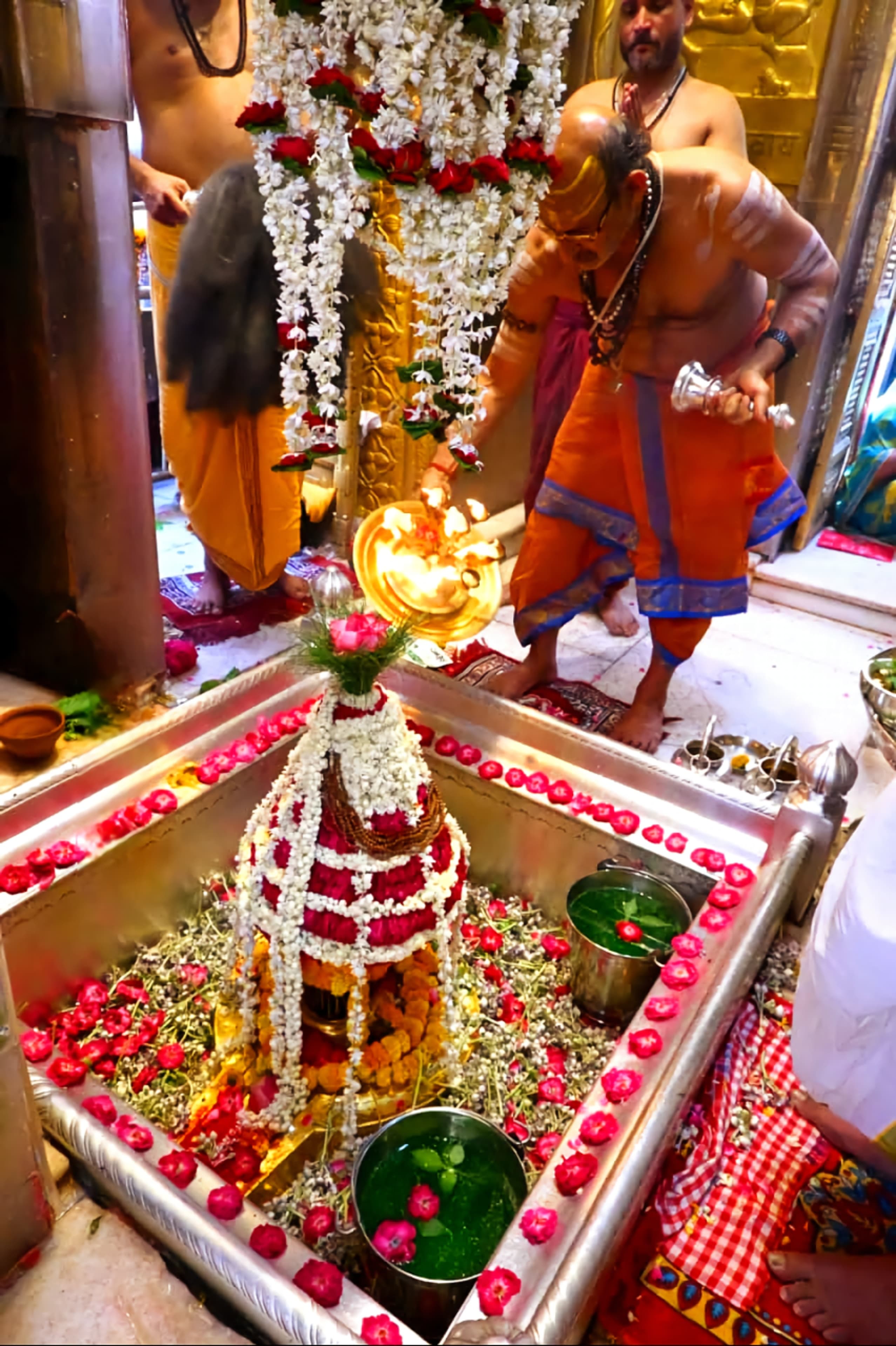 बाबा विश्वनाथ नित्य दर्शन