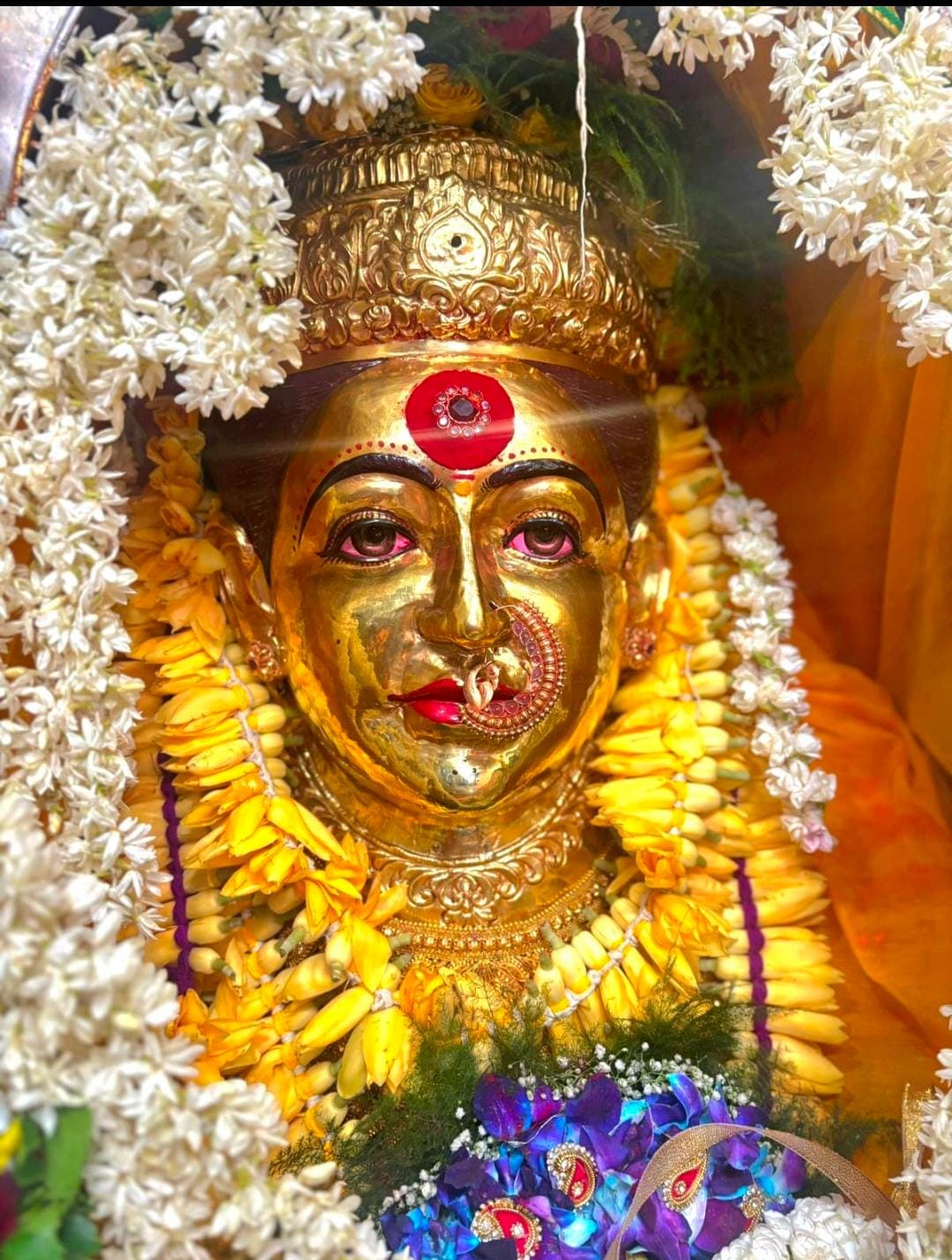 माँ अन्नपूर्णा श्रृंगार दर्शन