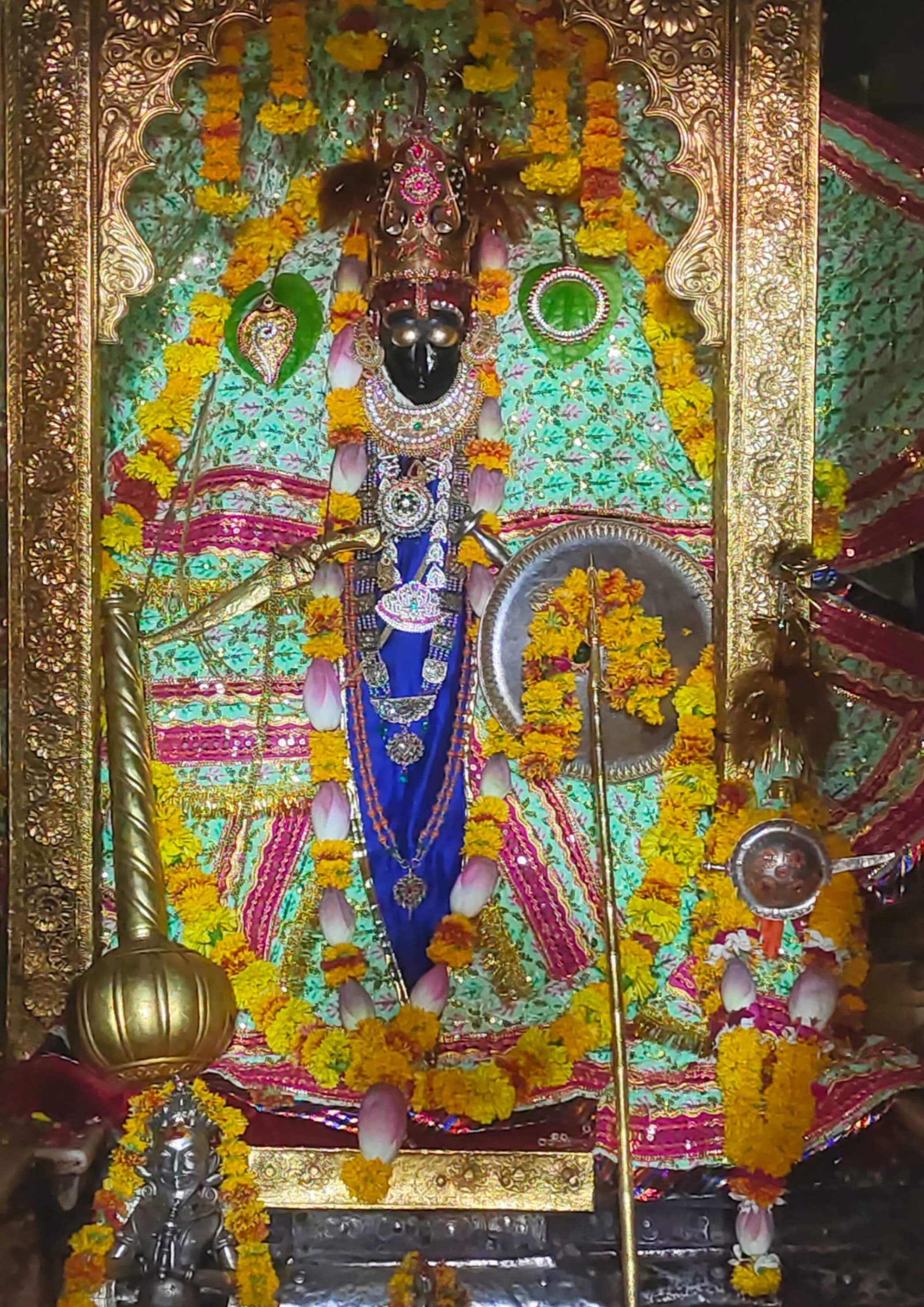 चारभुजा नाथ जी के दर्शन