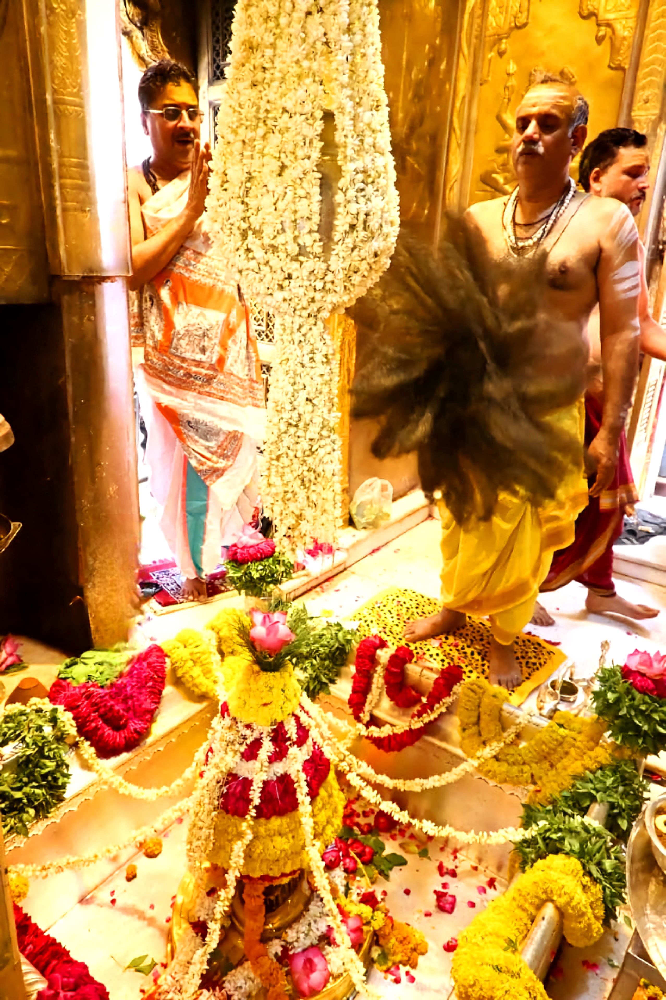 बाबा श्री काशी विश्वनाथ जी के पावन दर्शन 🙏