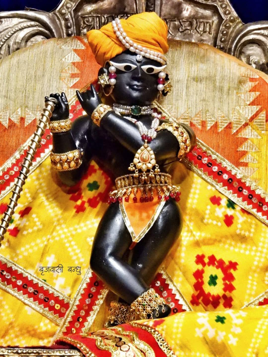 श्री राधारमण लाल के मंगला दर्शन 🙏