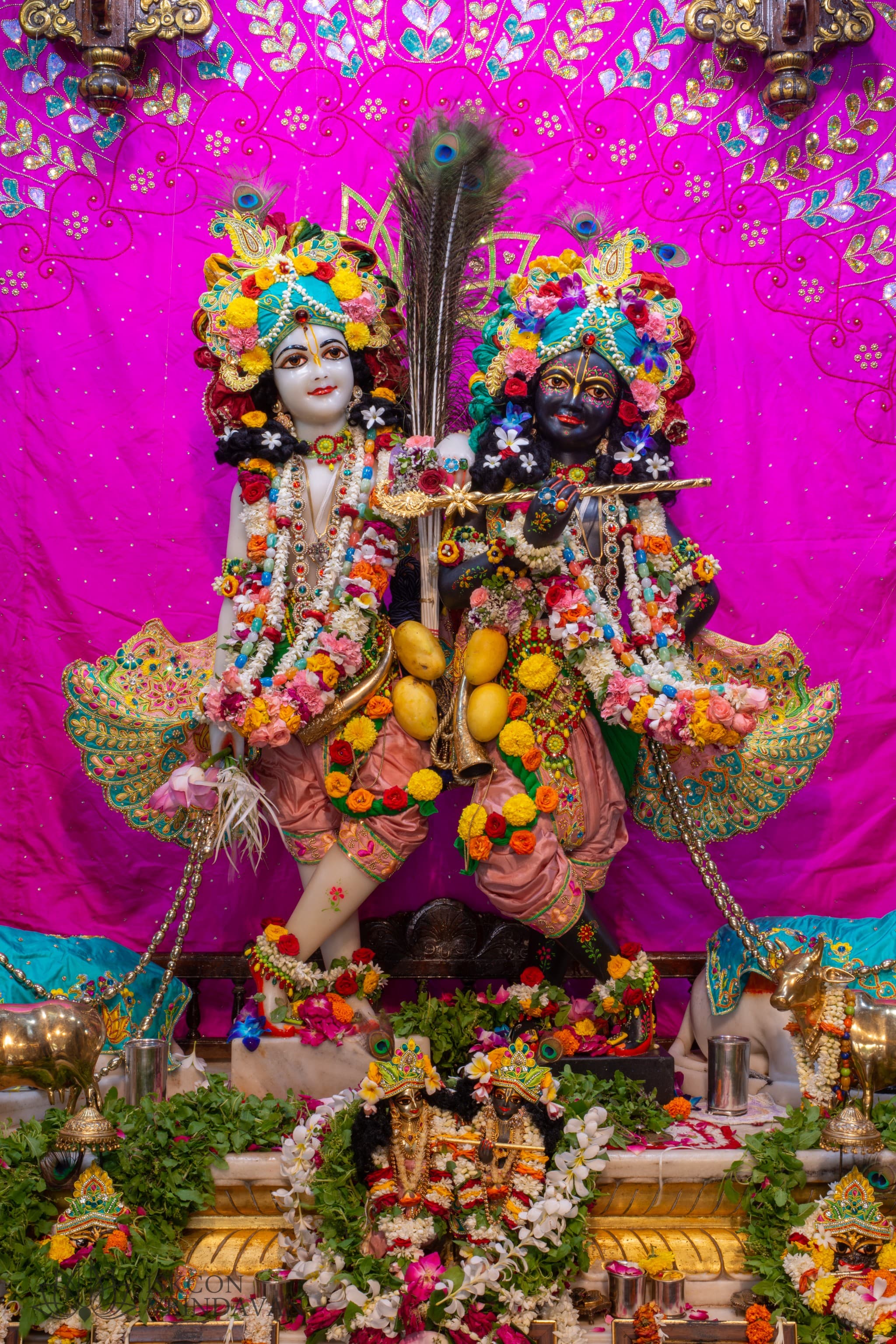 श्री कृष्ण बलराम नित्य दर्शन