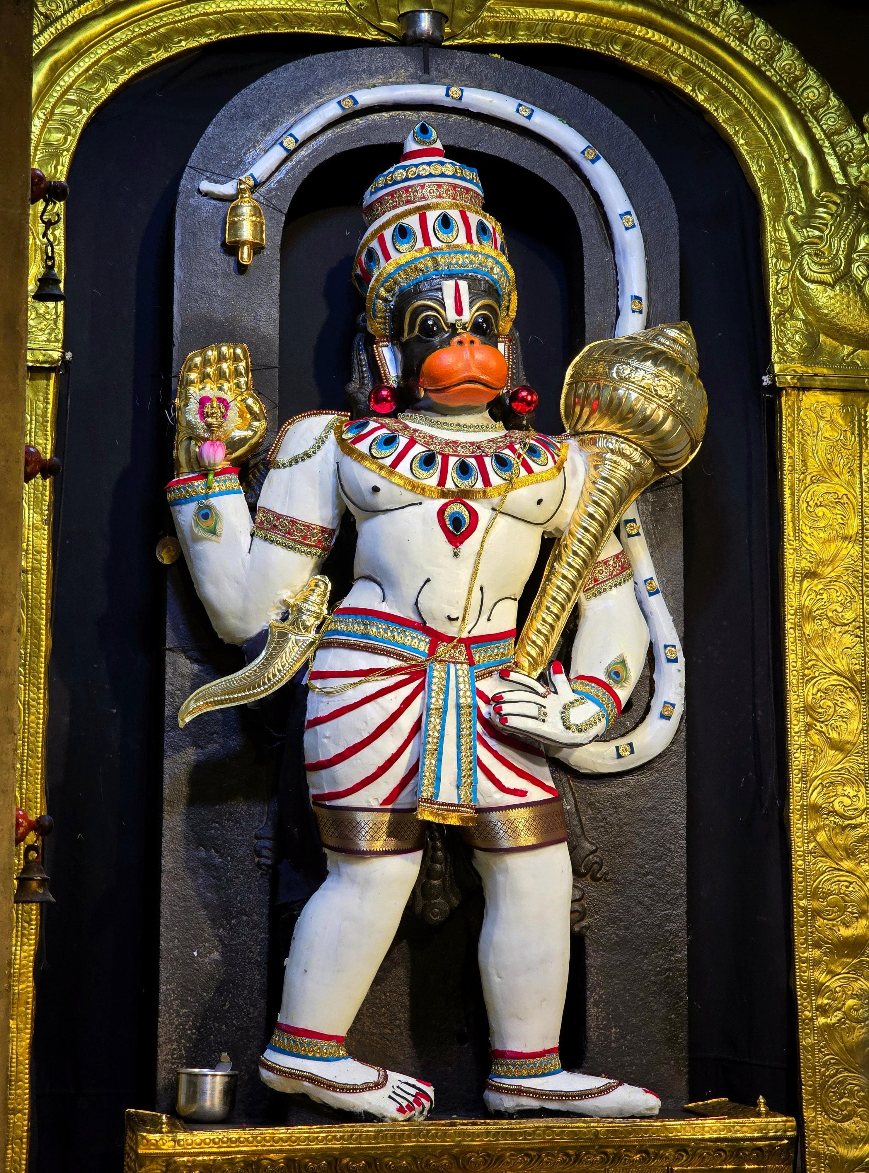 श्री हनुमानजी दिव्य दर्शन