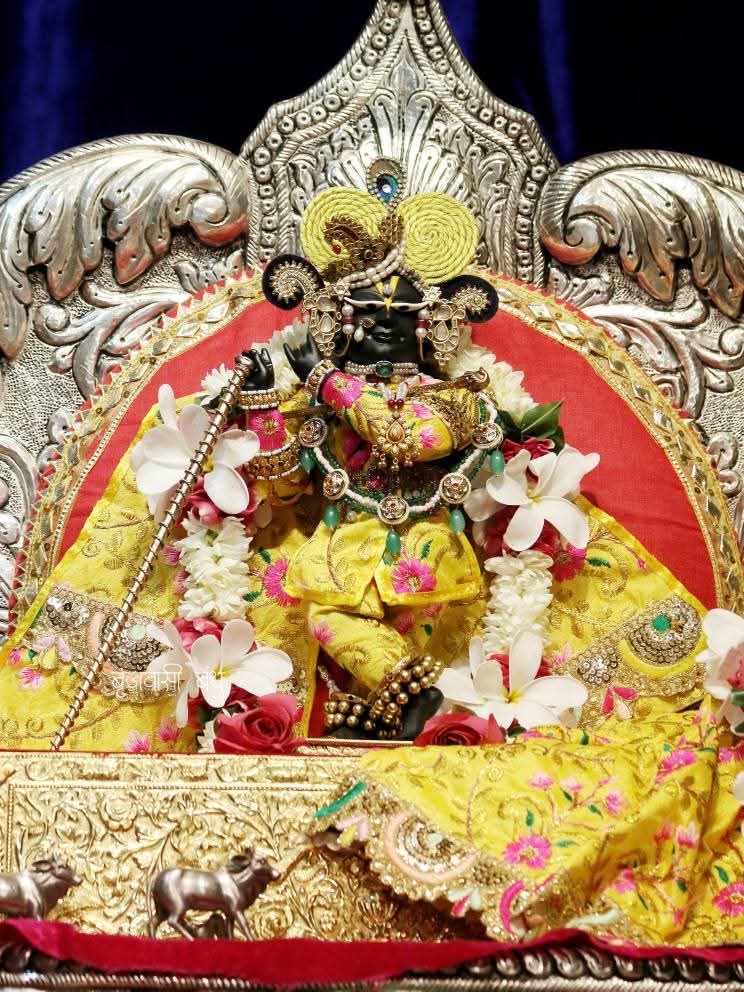 राधा रमन जी के दर्शन