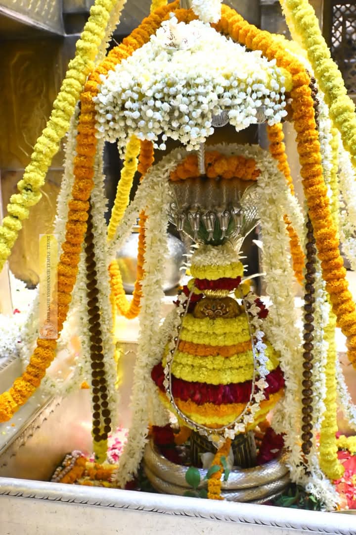 बाबा विश्वनाथ नित्य श्रृंगार दर्शन