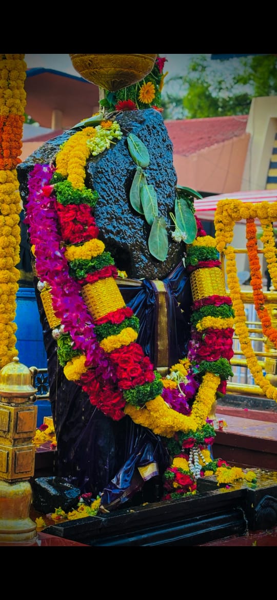 श्री शनिदेव नित्य दर्शन