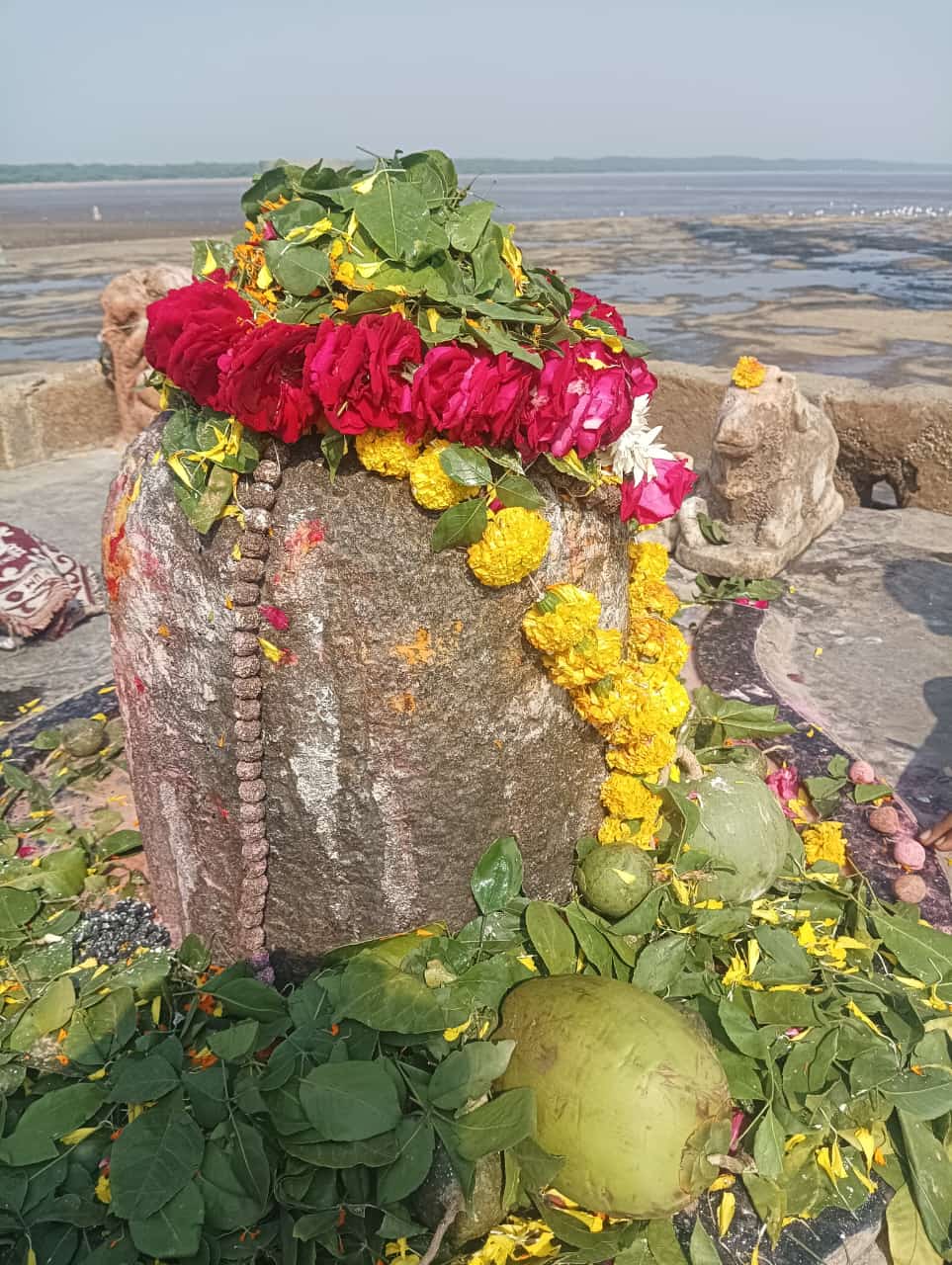 निष्कलंक महादेव श्रृंगार दर्शन