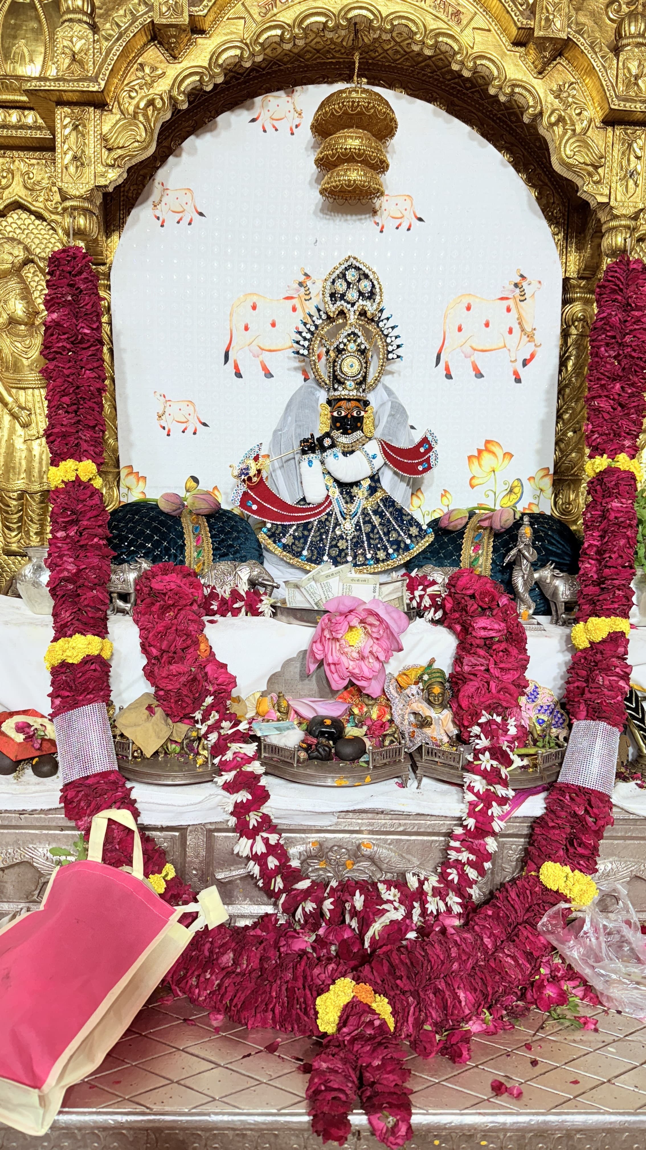 जय हो मेरे प्रभु सेठ साँवरा