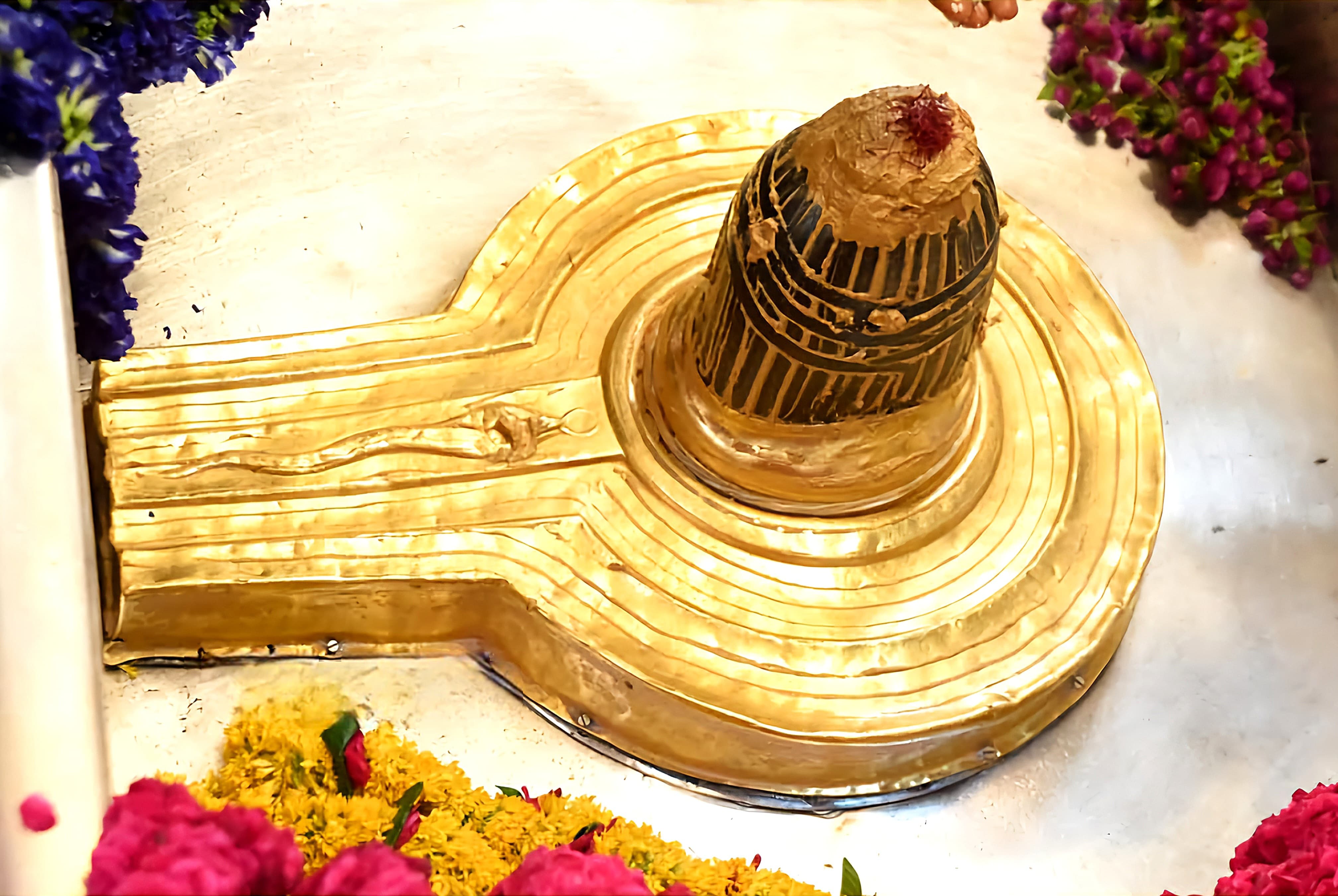 बाबा विश्वनाथ दर्शन