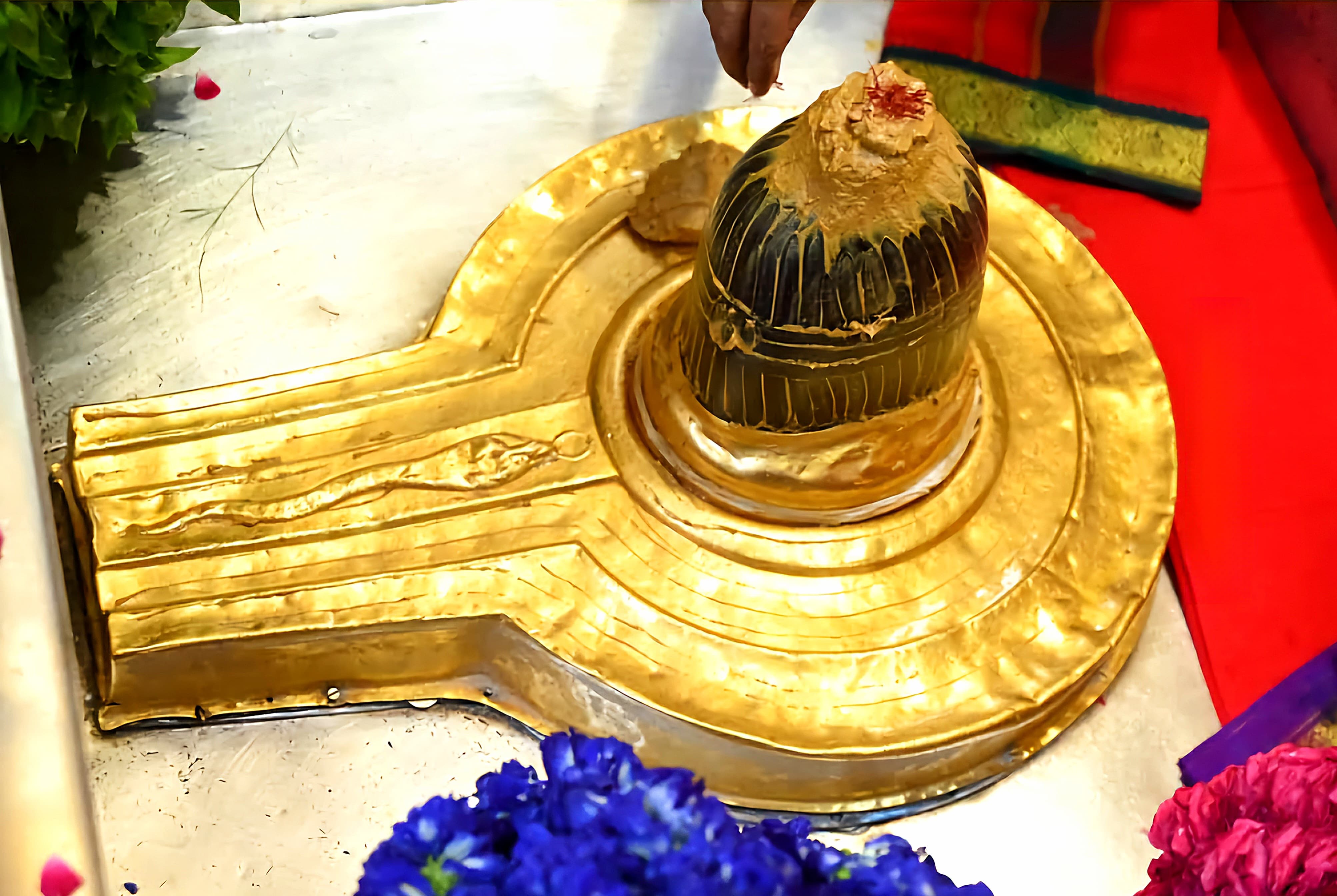 बाबा विश्वनाथ दर्शन