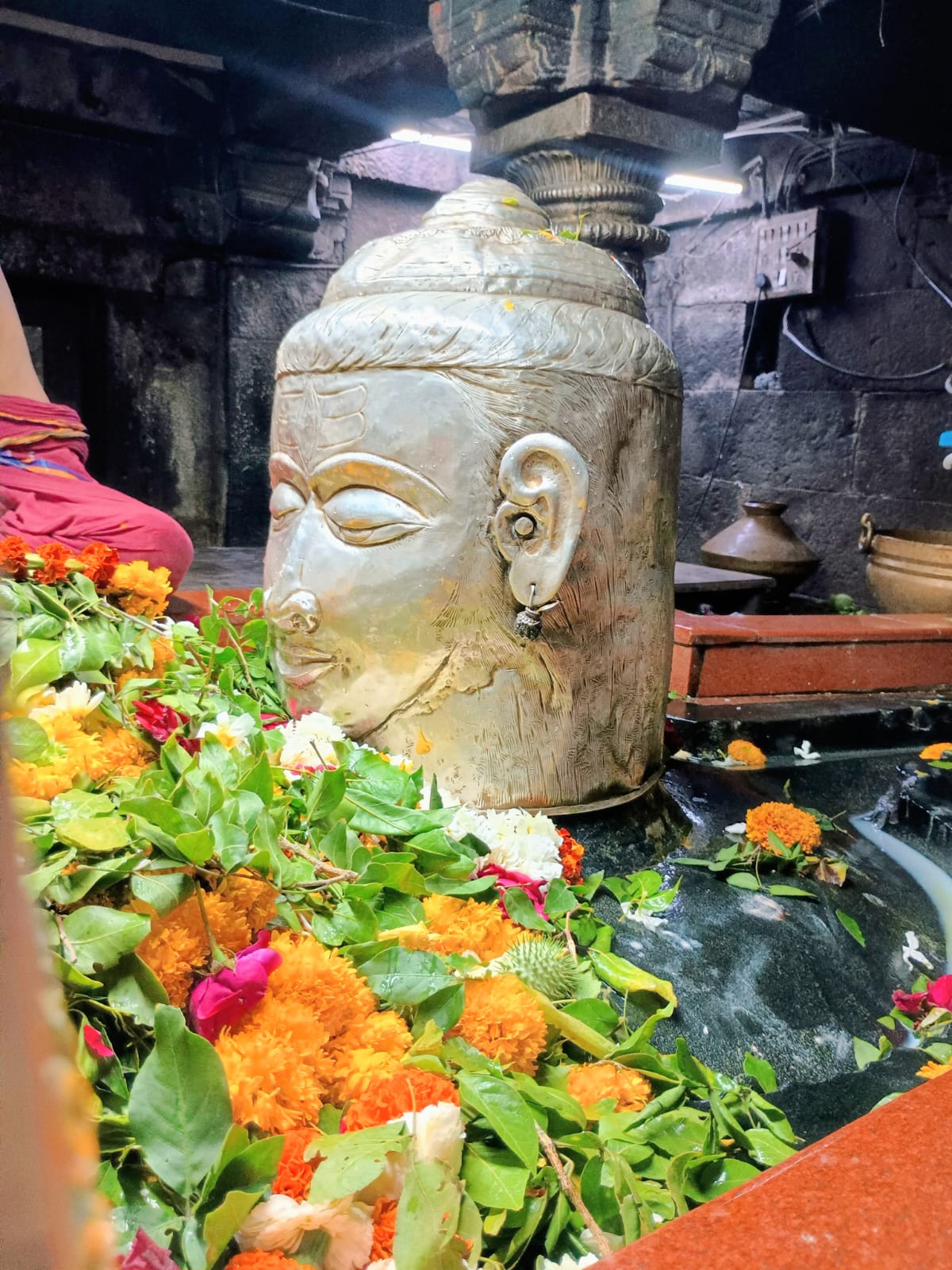 श्री नागेश्वर ज्योतिर्लिंग भगवान् दिव्य दर्शनम्