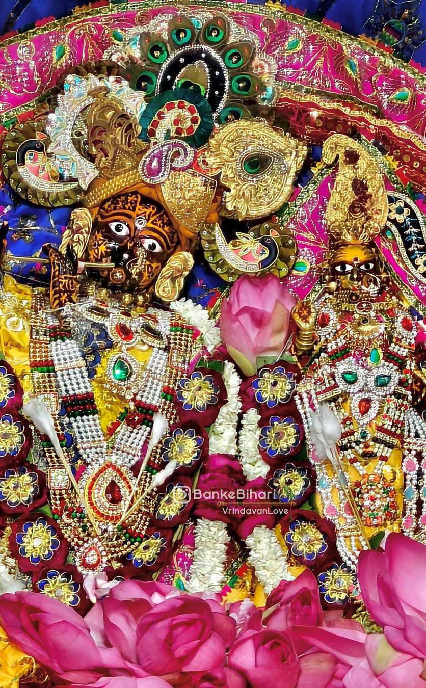 आज के श्रृंगार दर्शन हमारी लाड़ली जू बरसाना धाम