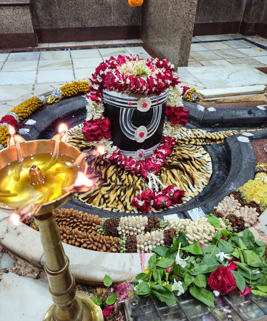 परली वैजनाथ के दर्शन