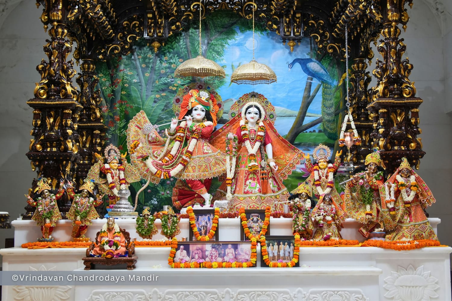 वृन्दावन राधे कृष्ण दर्शन