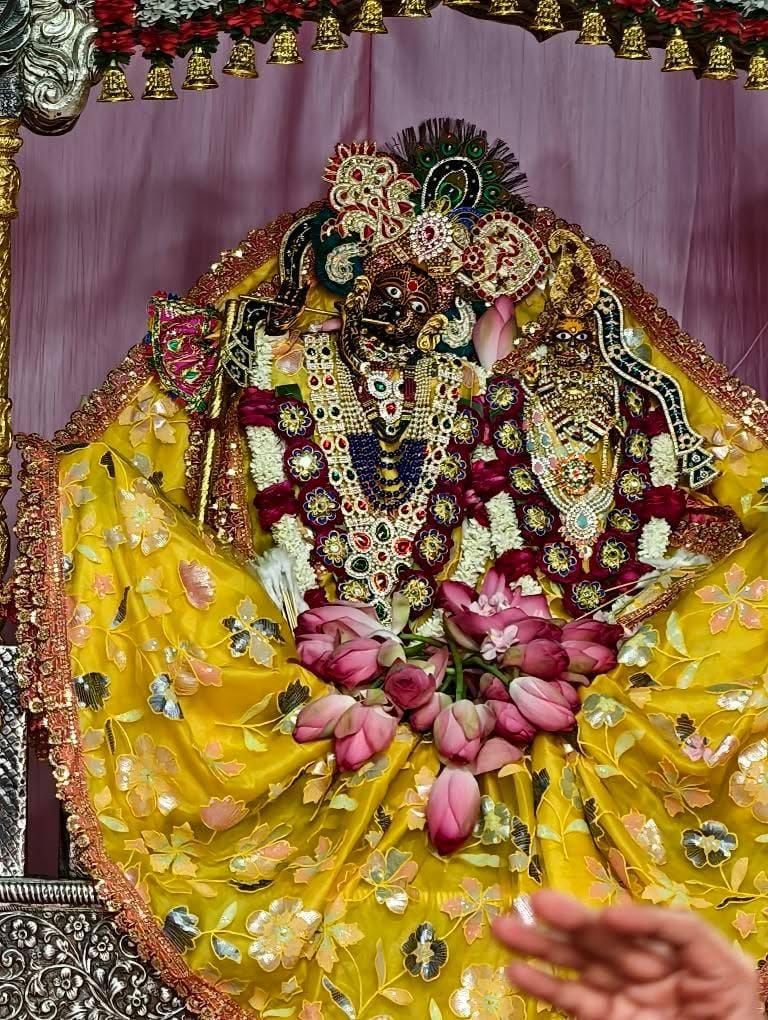 हमारी ठाकुरानी श्री राधिका रानी