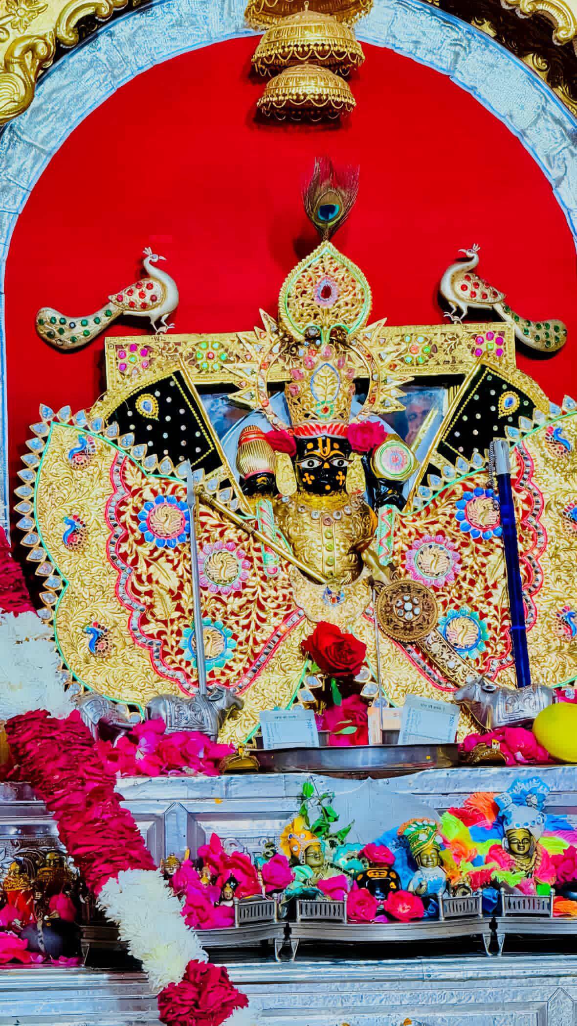 सांवरिया जी नित्य दर्शन