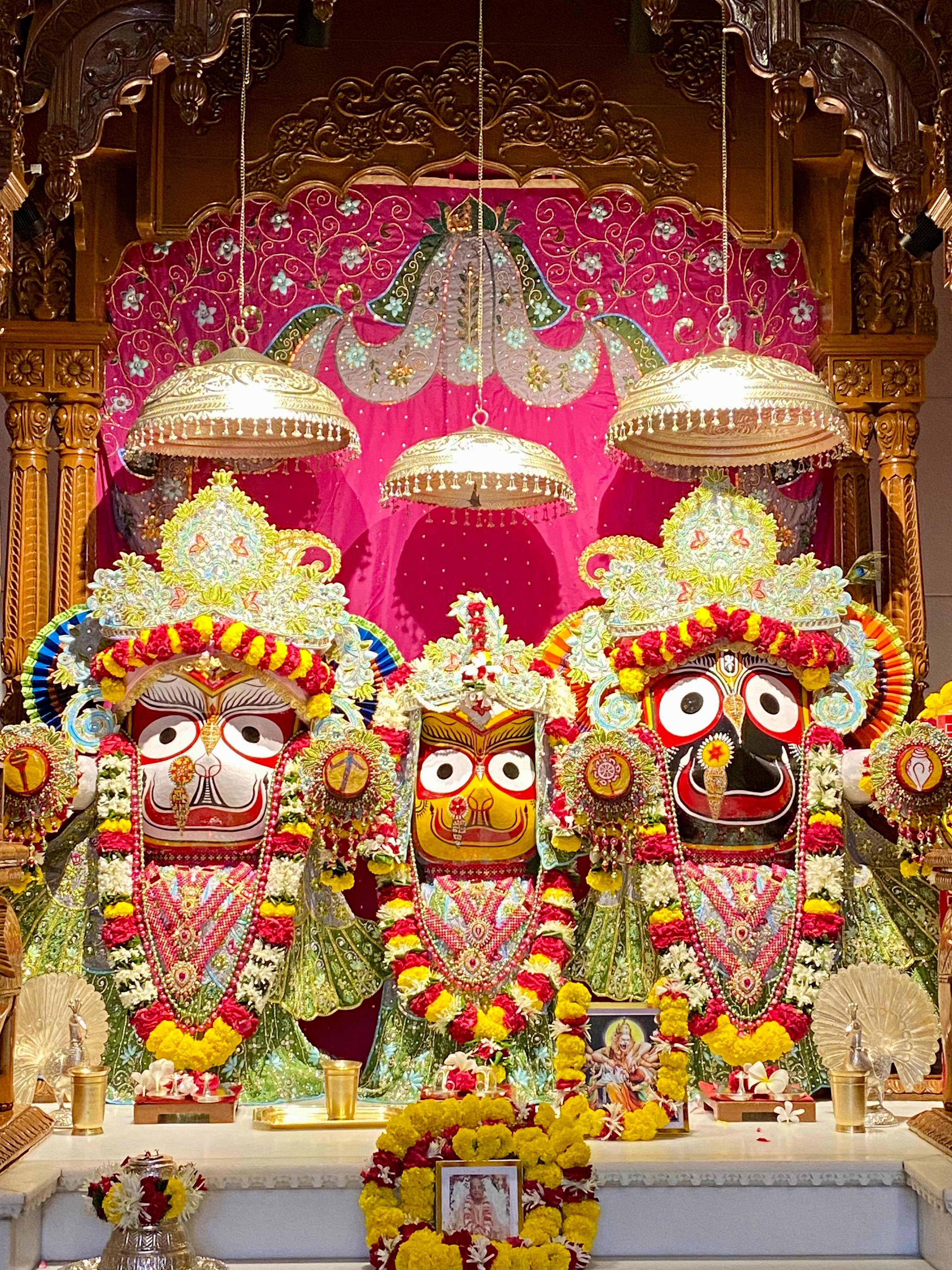 श्री बलराम जगन्नाथ सुभद्रा दर्शन