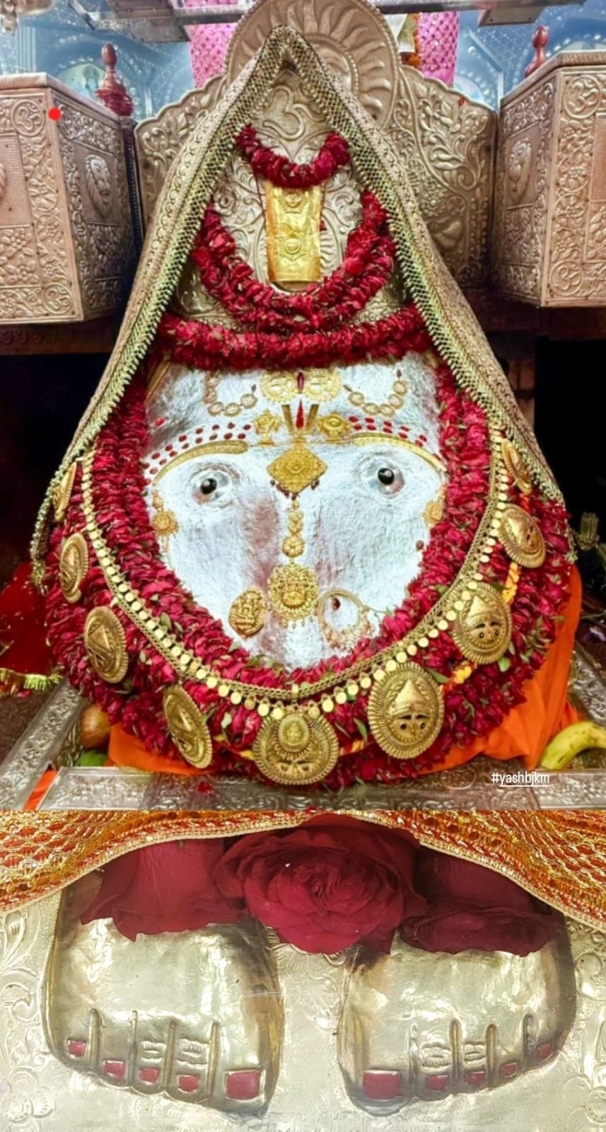 माँ कालिका नित्य दर्शन
