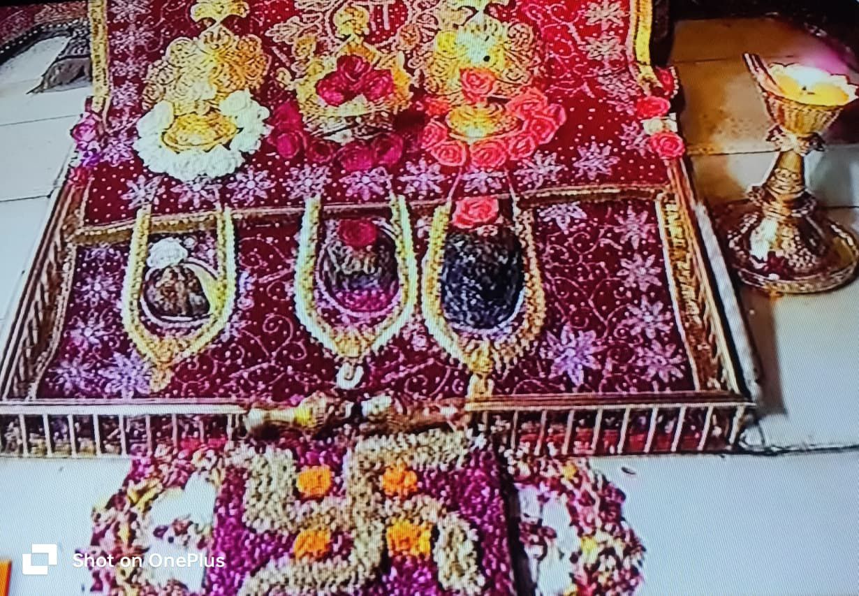 कटरा मां वैष्णोदेवी नित्य दर्शन