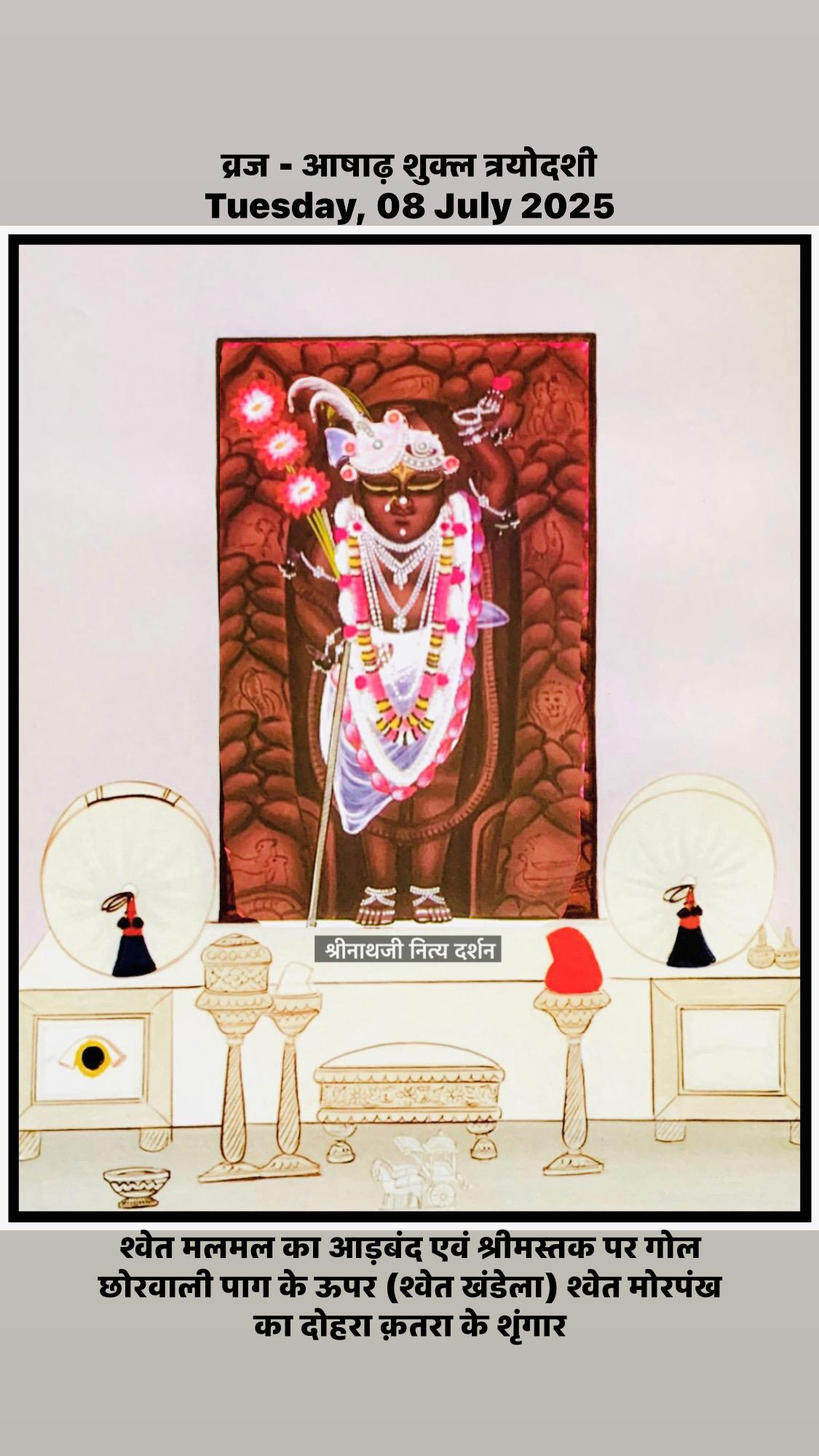 श्रीनाथजी दिव्य दर्शन
