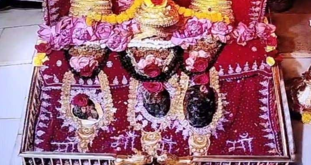 माँ वैष्णो देवी मंगल दर्शन