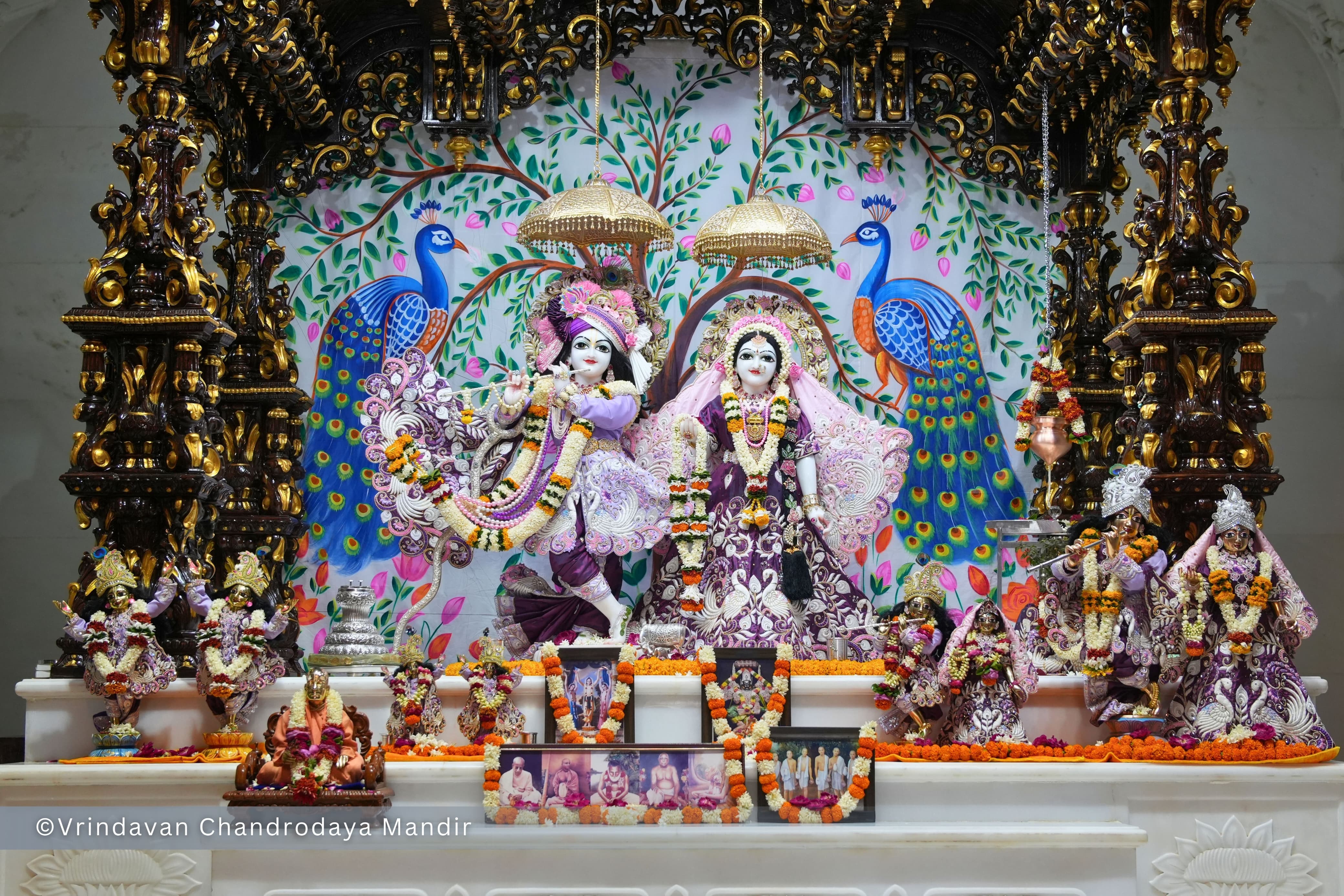श्रीराधेकृष्ण शुभ दर्शन