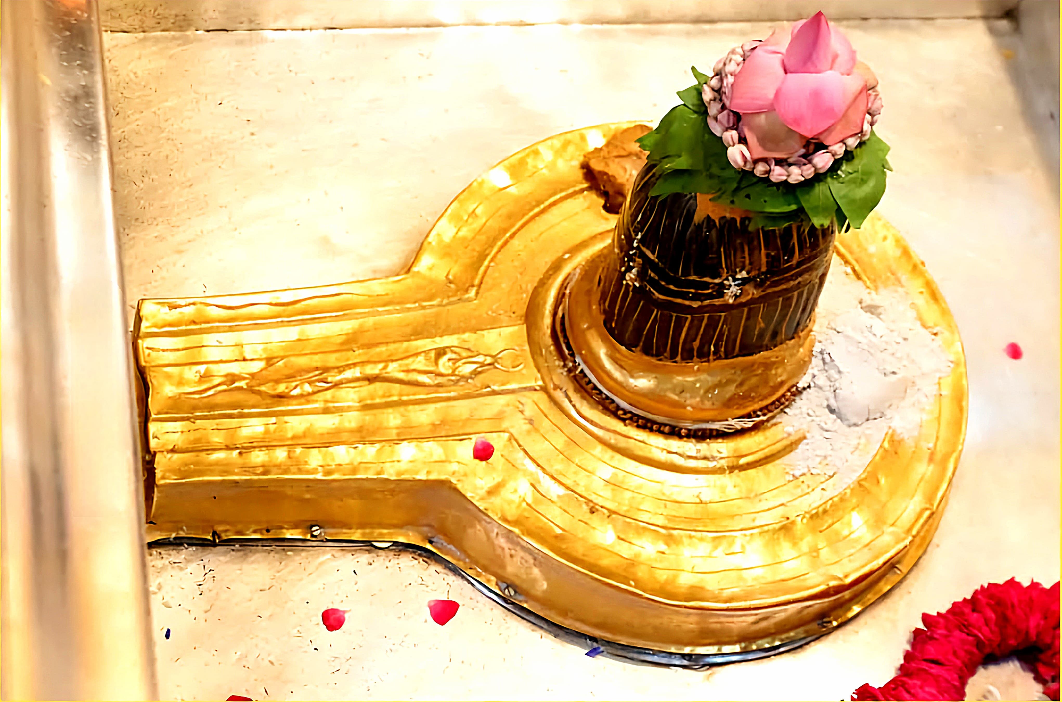 काशी विश्वनाथ महादेव के दर्शन